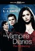 The Vampire Diaries: The Awakening (English Edition)