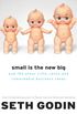 Small Is the New Big: and 183 Other Riffs, Rants, and Remarkable Business Ideas (English Edition)