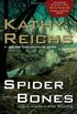 Barbatanas de aranha: Uma novidade (Temperance Brennan Novels)