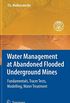 Water Management at Abandoned Flooded Underground Mines: Fundamentals, Tracer Tests, Modelling, Water Treatment