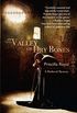Valley of Dry Bones (Medieval Mysteries Book 7) (English Edition)