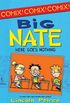 Big Nate: Here Goes Nothing (Big Nate Comix)