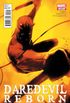 Daredevil: Reborn #02