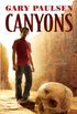 Canyons (English Edition)