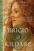 Brigid of Kildare: A Novel (English Edition)