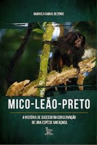 Mico-Leo-Preto