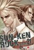 Sun-ken Rock #21