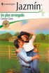 Un plan arriesgado: Objetivo: casarse (1) (Miniserie Jazmn) (Spanish Edition)