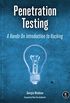 Penetration Testing: A Hands-On Introduction to Hacking (English Edition)