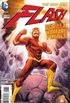 The Flash #17