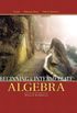 Beginning and Intermediate Algebra (3rd Edition)