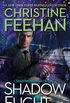 Shadow Flight (A Shadow Riders Novel Book 5) (English Edition)