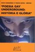 Poesia Gay Underground: Histria e Glria 