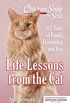 Chicken Soup for the Soul: Life Lessons from the Cat: 101 Stories About Our Feline Friends & What Matters Most (English Edition)