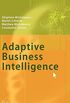 Adaptive Business Intelligence