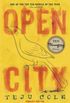 Open City: A Novel (English Edition)