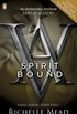 Vampire Academy: Spirit Bound (English Edition)