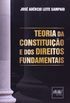 Teoria da Constituio e dos Direitos Fundamentais