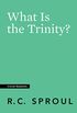 What Is the Trinity? (Crucial Questions) (English Edition)
