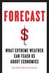 Forecast: What Physics, Meteorology, and the Natural Sciences Can Teach Us About Economics (English Edition)