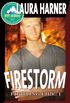 Firestorm (Fighting Fire Series Book 1) (English Edition)