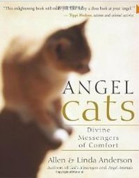 Angel Cats: Divine Messengers of Comfort 