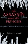 The Assassin and The Princess