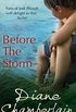 Before The Storm (English Edition)