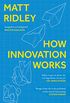 How Innovation Works (English Edition)