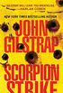 Scorpion Strike (A Jonathan Grave Thriller Book 10) (English Edition)