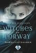 Witches of Norway 1: Nordlichtzauber (German Edition)