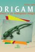 Origami - Darwin e os Tringulos Mgicos