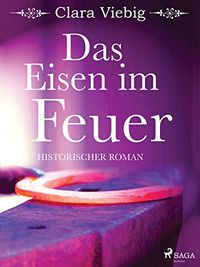 Das Eisen im Feuer (German Edition)