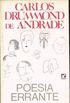 Poesia Errante: Derrames Liricos (E Outros Nem Tanto, Ou Nada) (Portuguese Edition)