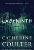 Labyrinth (An FBI Thriller Book 23) (English Edition)