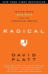 Radical: Taking Back Your Faith from the American Dream (English Edition)