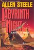 Labyrinth Of Night