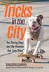 Tricks in the City: For Daring Dogs and the Humans that Love Them (English Edition)