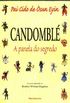 Candomblé: a panela do segredo