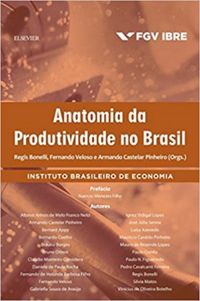 Anatomia da Produtividade no Brasil