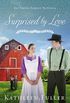 Surprised by Love: An Amish Family Novella (English Edition)