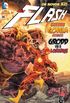 The Flash #14 (Os Novos 52)