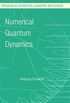 Numerical Quantum Dynamics (Progress in Theoretical Chemistry and Physics Book 9) (English Edition)