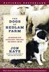 The Dogs of Bedlam Farm: An Adventure with Sixten Sheep, Three Dogs, Two Donkeys, and Me (English Edition)