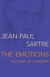 The Emotions: Outline of a Theory