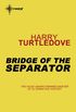 Bridge of the Separator (Videssos Book 5) (English Edition)
