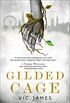 Gilded Cage (Dark Gifts Book 1) (English Edition)