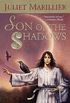 Son of the Shadows: Book Two of the Sevenwaters Trilogy (The Sevenwaters Series 2) (English Edition)