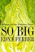 So Big: A Novel (English Edition)
