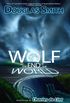 The Wolf at the End of the World (The Heroka Stories Book 4) (English Edition)